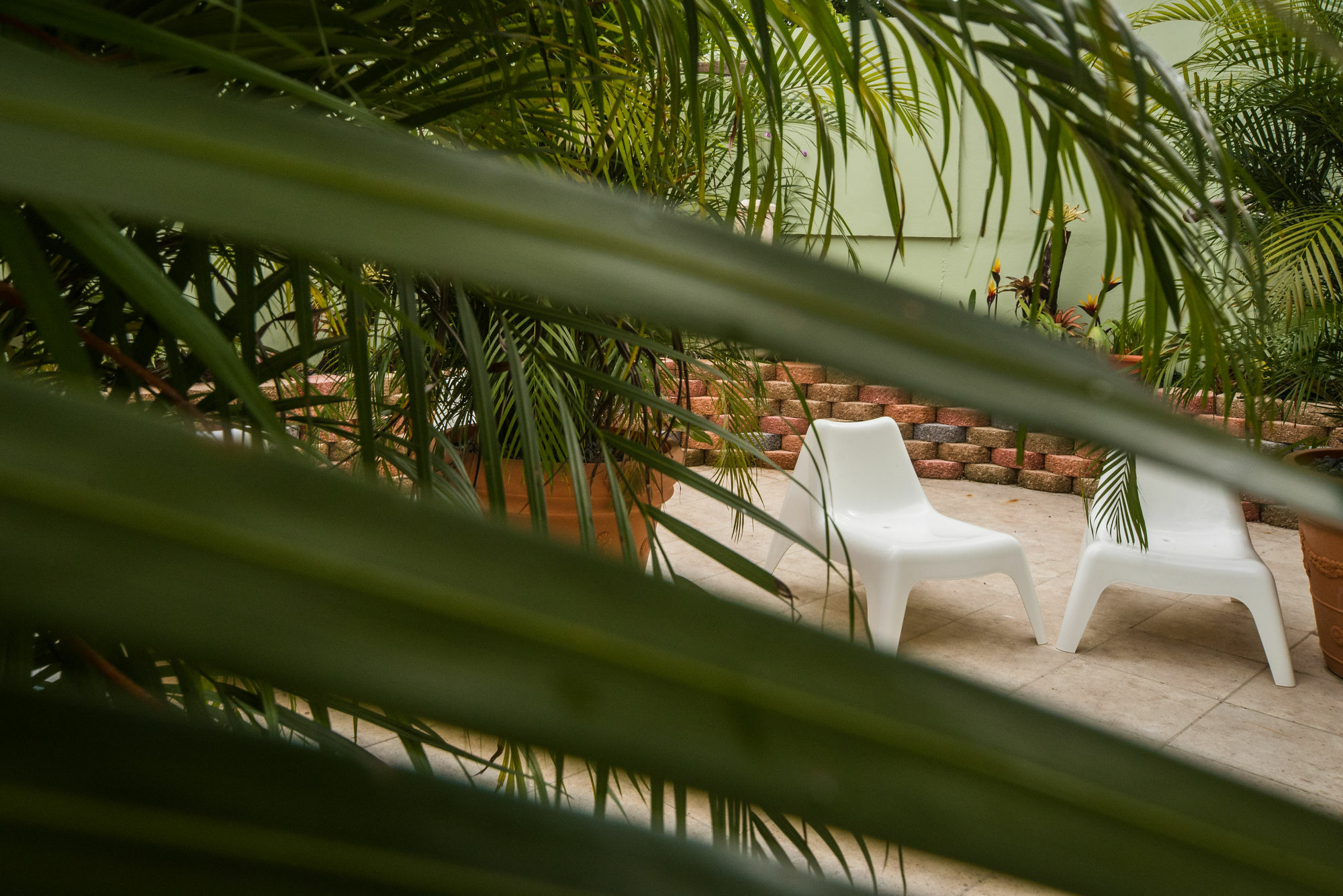 Rincon Plaza Hotel Zewnętrze zdjęcie